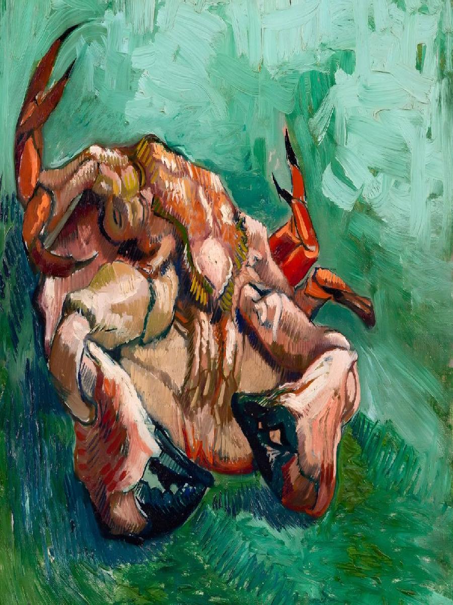 Van Gogh Inspired Crab on its  - Interior Design Its recensione e prezzo