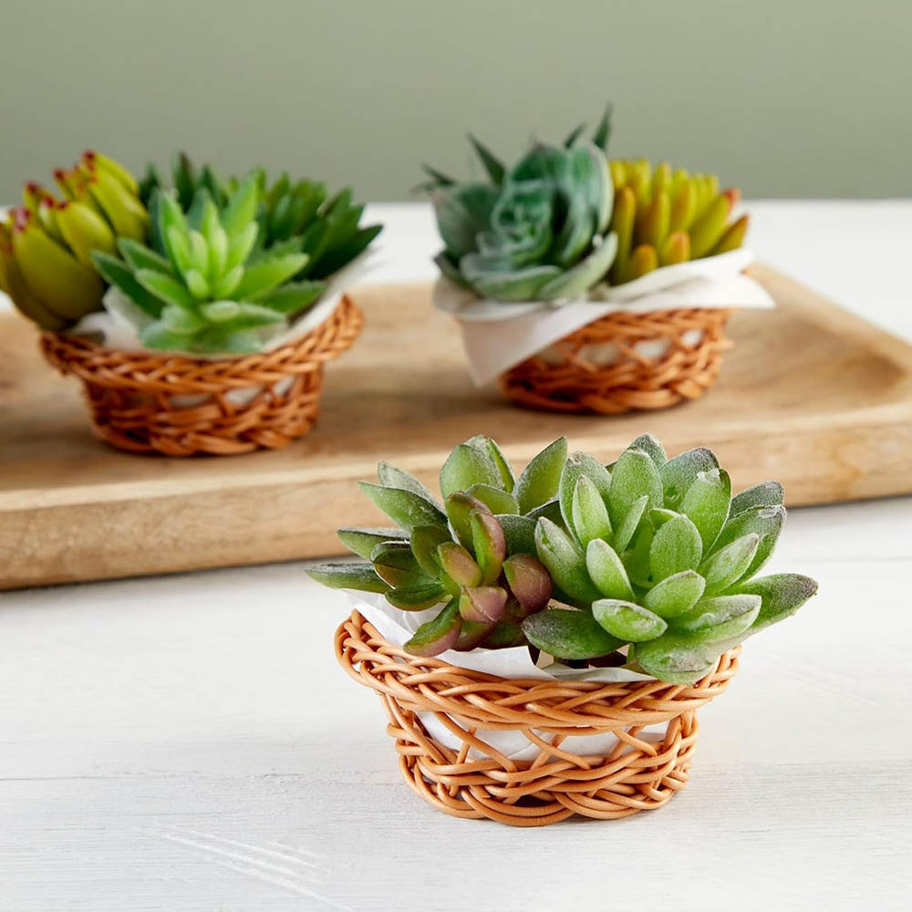Mini Woven Basket Set - 3.1 x  - Woven Basket Set recensione e prezzo